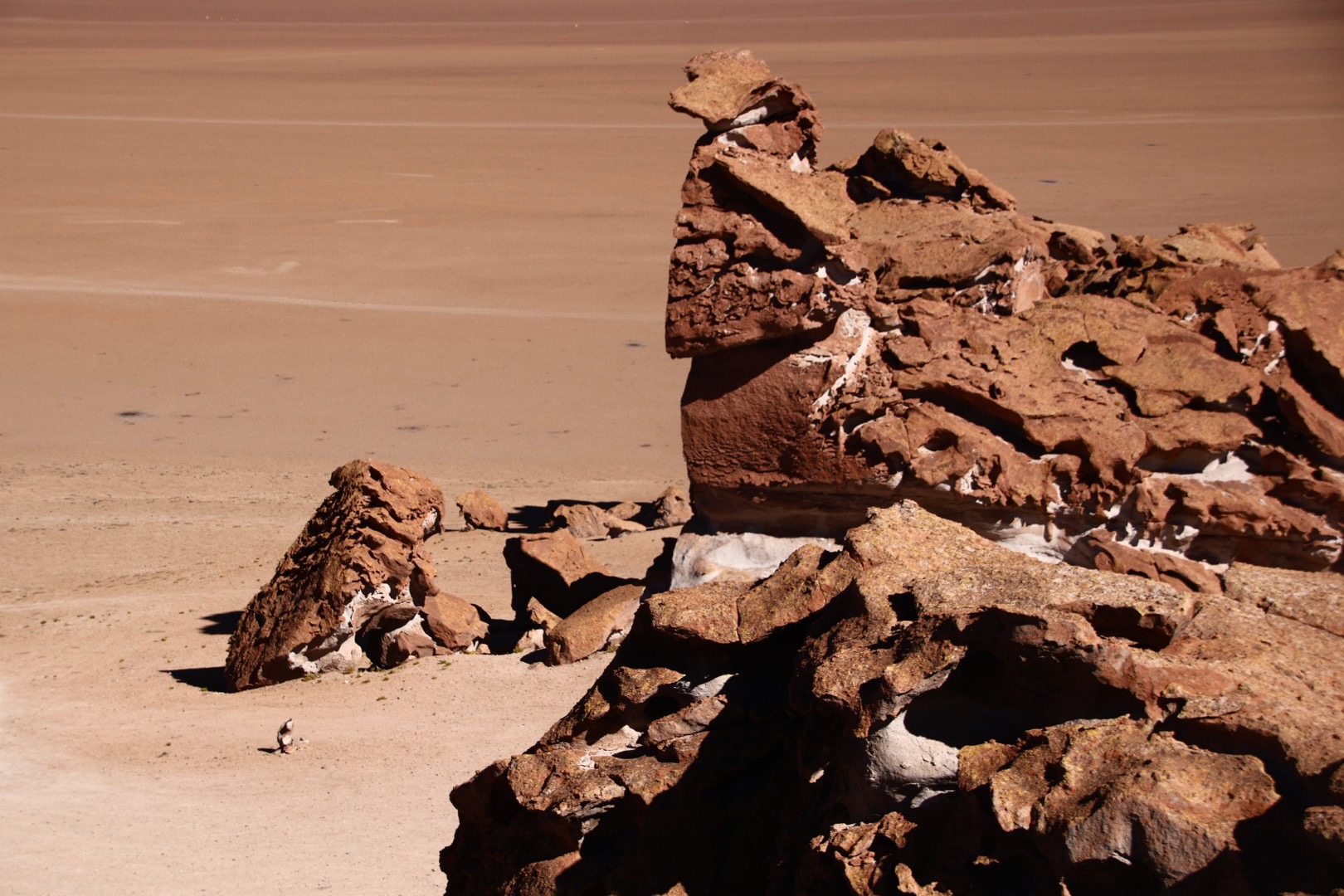 Puna Landscapes - Geometries and Cartographies